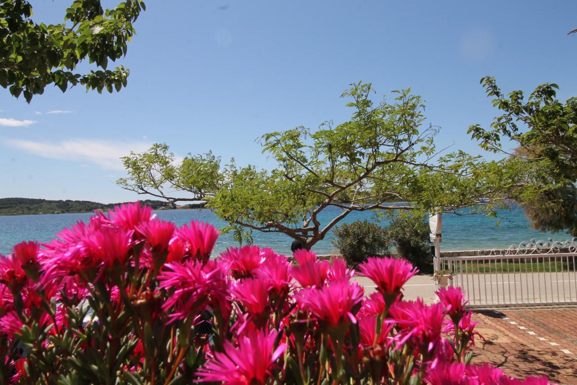 Villa Aurelia Vodice Exteriér fotografie